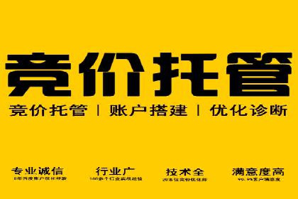 案例分析：SEM竞价代运营实现盈利增长